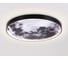 Настенно-потолочный светодиодный светильник Ambrella Light WALLERS FW11113 6