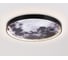 Настенно-потолочный светодиодный светильник Ambrella Light WALLERS FW11113 7