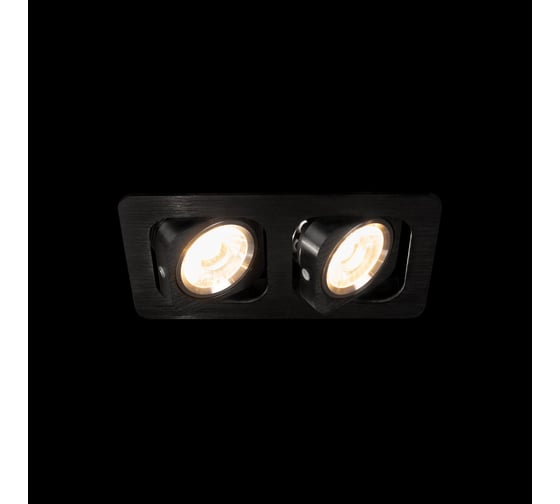 Встраиваемый светильник LOFT IT Screen 10328/2A Black