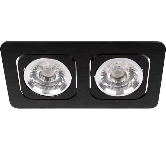 Встраиваемый светильник LOFT IT Screen 10328/2A Black