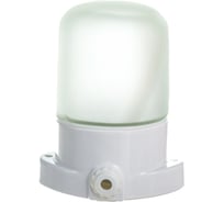 Светильник Navigator, NBL-SA1-60-E27-WH, НПБ 400, для сауны 61509
