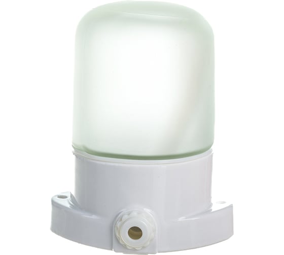 Светильник Navigator, NBL-SA1-60-E27-WH, НПБ 400, для сауны 61509 1