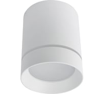 Потолочный светильник Arte Lamp A1909PL-1WH