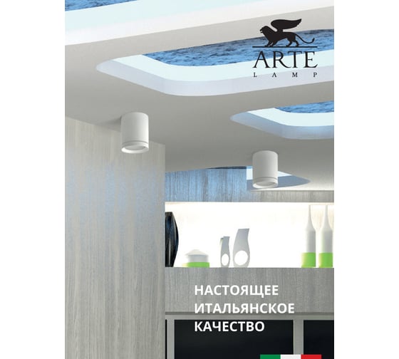 Потолочный светильник Arte Lamp A1909PL-1WH