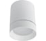 Потолочный светильник Arte Lamp A1909PL-1WH 1