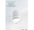 Потолочный светильник Arte Lamp A1909PL-1WH 2