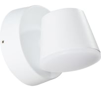 Уличный светильник Arte Lamp A2212AL-1WH