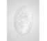 Настенно-потолочный светильник Мелодия Света Snow White R1004-2W-300 WT 000059669 2