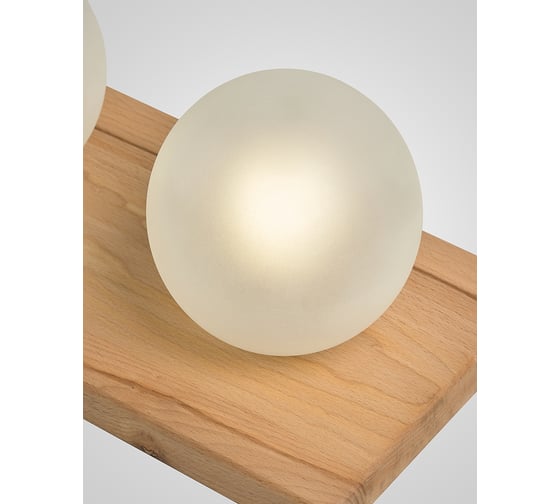 Потолочный светильник Мелодия Света 6426N-2 NL 000067489