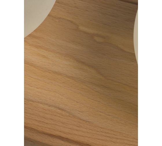 Потолочный светильник Мелодия Света 6426N-2 NL 000067489