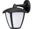 Уличный светильник Arte Lamp A2209AL-1BK 1