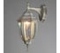 Уличный светильник Arte Lamp A3152AL-1WG 4