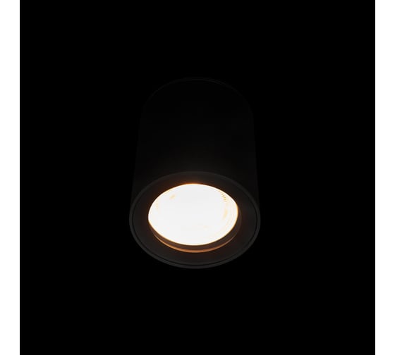 Накладной светильник LOFT IT Rush 10344 Black