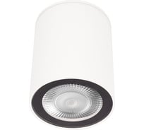 Накладной светильник LOFT IT Rush 10344 White