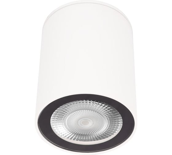 Накладной светильник LOFT IT Rush 10344 White 1