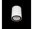Накладной светильник LOFT IT Rush 10344 White 2