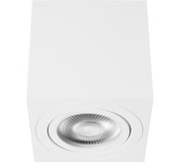 Накладной светильник LOFT IT Unit 10340/A White