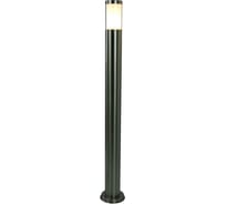 Уличный светильник Arte Lamp A8262PA-1SS