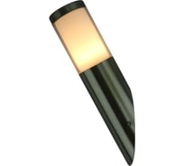 Уличный светильник Arte Lamp A8262AL-1SS