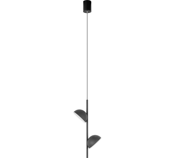 Подвесной светильник LOFT IT Mons 10335 Black