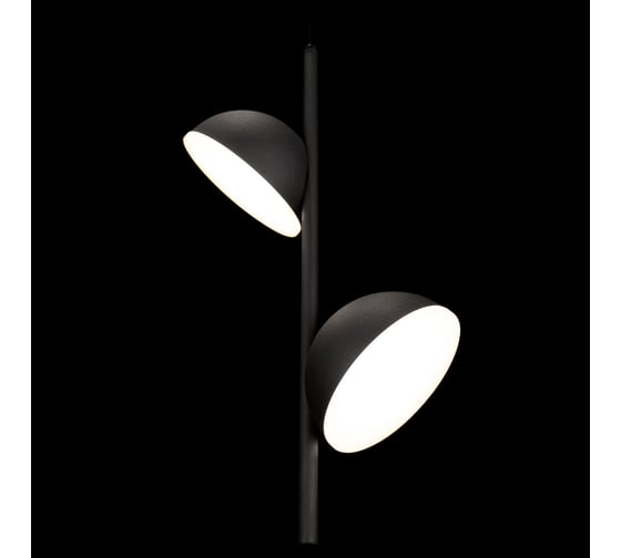 Подвесной светильник LOFT IT Mons 10335 Black