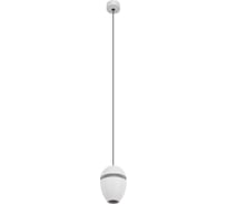 Подвесной светильник LOFT IT Viterbo 10336 White