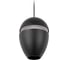 Подвесной светильник LOFT IT Viterbo 10336 Black 3