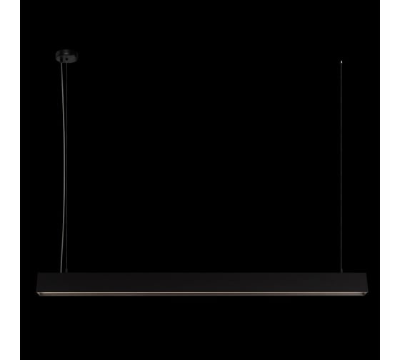 Подвесной светильник LOFT IT Vim 10318/A Black