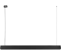 Подвесной светильник LOFT IT Vim 10318/C Black