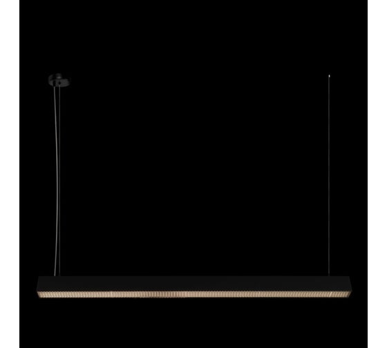 Подвесной светильник LOFT IT Vim 10318/C Black