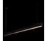 Подвесной светильник LOFT IT Vim 10318/C Black 4