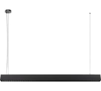 Подвесной светильник LOFT IT Vim 10318/D Black