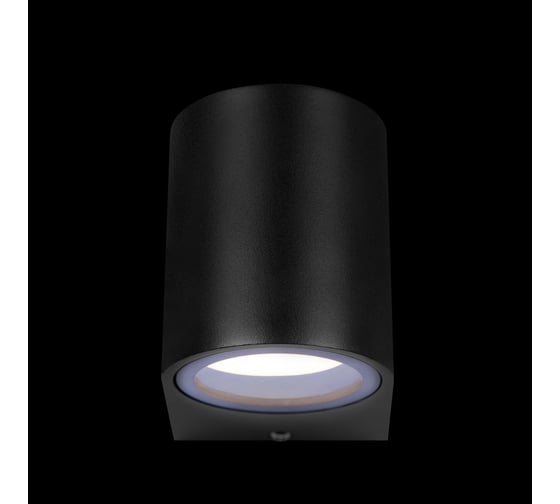 Уличный настенный светильник LOFT IT Eterno 100006/A