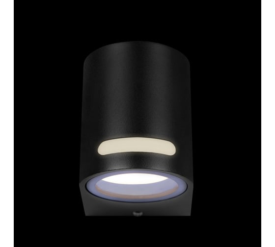 Уличный настенный светильник LOFT IT Stema 100012/A