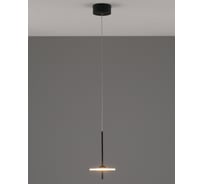 Светильник подвесной светодиодный Moderli Ella, черный V10881-PL