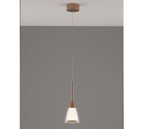 Светильник подвесной светодиодный Moderli Leina, коричневый V10870-PL