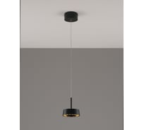Светильник подвесной светодиодный Moderli Luma, черный V10855-PL