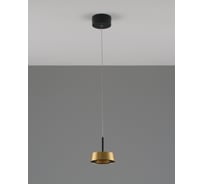 Светильник подвесной светодиодный Moderli Luma, черный, золотой V10857-PL