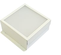 Светильник светодиодный PromA SL-OC-10P.M.WT.5500K 4673750166089