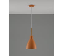 Подвесной светильник Toni 1 E27 60W, оранжевый Moderli V10650-1P