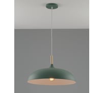 Подвесной светильник Moderli Hygo 1 E27 60W, зеленый V10656-1P
