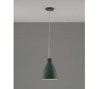 Подвесной светильник Moderli Toni 1 E27 60W, зеленый V10651-1P