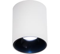 Потолочный светильник Citilux Старк, белый+черный 12Wх3500K CL7440101