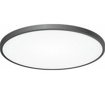 Накладной светильник Citilux Бейсик, черный LED 50WхМульти CL738501V