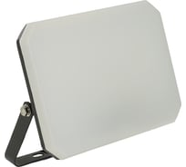 Светодиодный прожектор FERON LL-942 IP65 50W 6400K, 51045