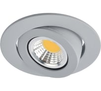 Потолочный светильник Arte Lamp A4009PL-1GY