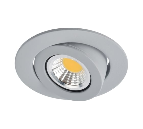 Потолочный светильник Arte Lamp A4009PL-1GY 1