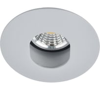 Потолочный светильник Arte Lamp A3219PL-1GY