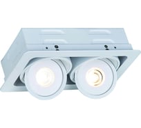 Потолочный светильник Arte Lamp A3007PL-2WH