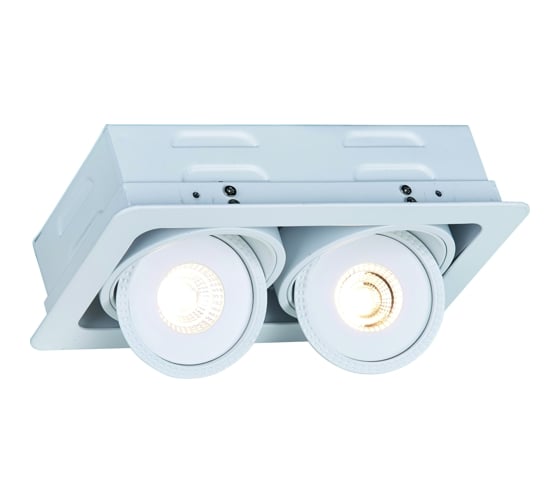 Потолочный светильник Arte Lamp A3007PL-2WH